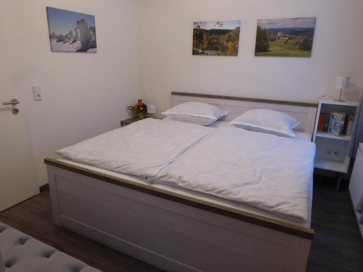 Haus Am Hang Altenau  Dış mekan fotoğraf